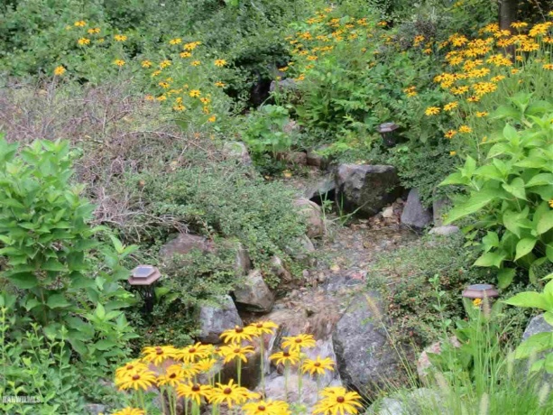 26-11 Wynwood, LAKE CARROLL, Illinois 61046, 5 Bedrooms Bedrooms, ,5 BathroomsBathrooms,House,For Sale,Wynwood,201812