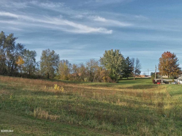 TBD James and Irvine, GALENA, Illinois 61036, ,Commercial Land,For Sale,James and Irvine,133867
