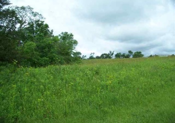 3 Honeycomb, GALENA, Illinois 61036, ,Land,For Sale,Honeycomb,130498