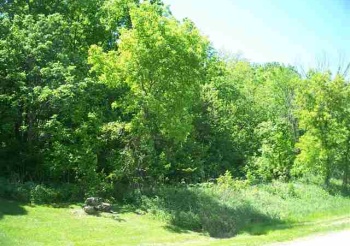 93 Heatherdowns Ln, GALENA, Illinois 61036, ,Land,For Sale,Heatherdowns Ln,130515