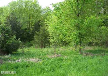 271 Blackhawk, GALENA, Illinois 61036, ,Land,For Sale,Blackhawk,130656