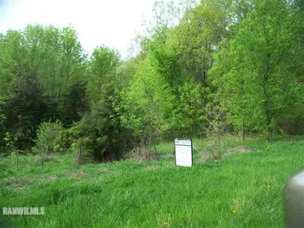271 Blackhawk, GALENA, Illinois 61036, ,Land,For Sale,Blackhawk,130656