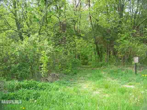 271 Blackhawk, GALENA, Illinois 61036, ,Land,For Sale,Blackhawk,130656