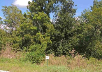 Lot 71 Ryan, GALENA, Illinois 61036, ,Land,For Sale,Ryan,131951