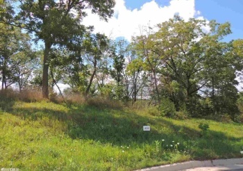 Lot 68 Ryan, GALENA, Illinois 61036, ,Land,For Sale,Ryan,131961