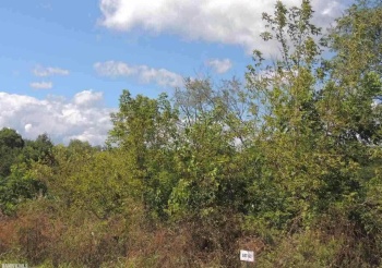 Lot 63 Sproule, GALENA, Illinois 61036, ,Land,For Sale,Sproule,131981
