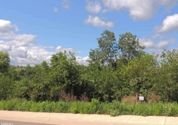 Lot 65 Sproule, GALENA, Illinois 61036, ,Land,For Sale,Sproule,132001
