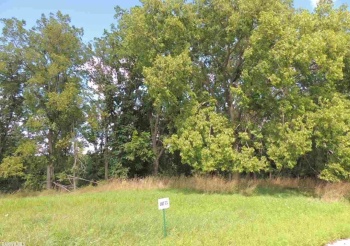 Lot 73 Sproule, GALENA, Illinois 61036, ,Land,For Sale,Sproule,132041