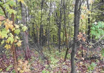 23 Stony Point, GALENA, Illinois 61036, ,Land,For Sale,Stony Point,133134