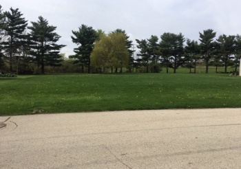 7XX Homestead, ROCKFORD, Illinois 61102, ,Land,For Sale,Homestead,201902650