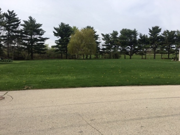 7XX Homestead, ROCKFORD, Illinois 61102, ,Land,For Sale,Homestead,201902650
