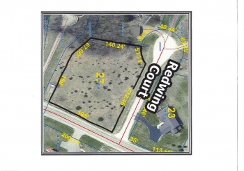 2 Redwing, GALENA, Illinois 61036, ,Land,For Sale,Redwing,161796