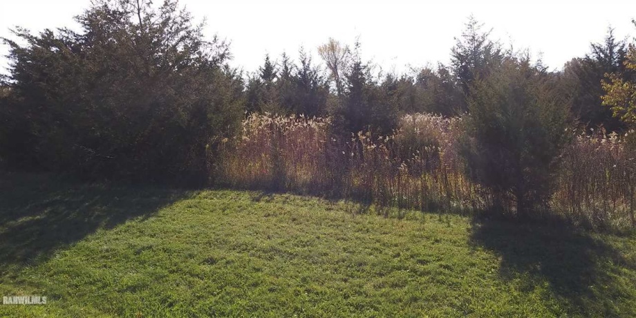 2 Redwing, GALENA, Illinois 61036, ,Land,For Sale,Redwing,161796