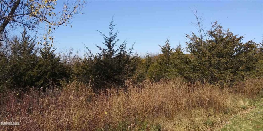 2 Redwing, GALENA, Illinois 61036, ,Land,For Sale,Redwing,161796