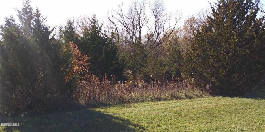 2 Redwing, GALENA, Illinois 61036, ,Land,For Sale,Redwing,161796