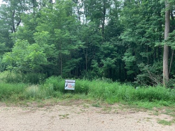 9603 Argus, GALENA, Illinois 61036, ,Land,For Sale,Argus,1111143