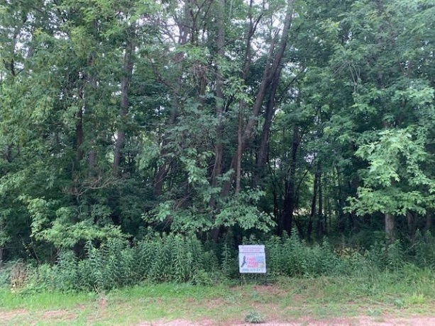 9601 Argus, GALENA, Illinois 61036, ,Land,For Sale,Argus,1111144