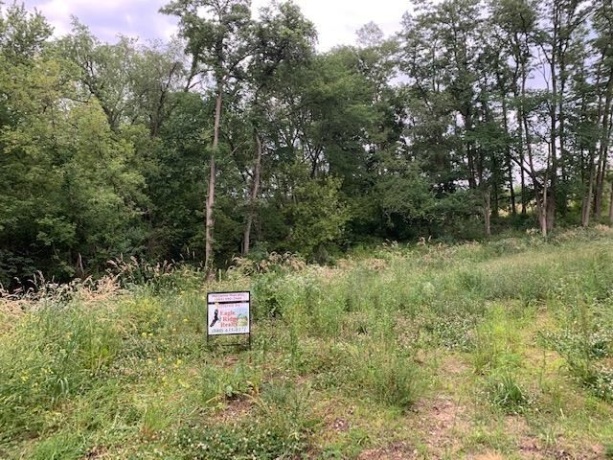 9491 Appollo, GALENA, Illinois 61036, ,Land,For Sale,Appollo,1111145