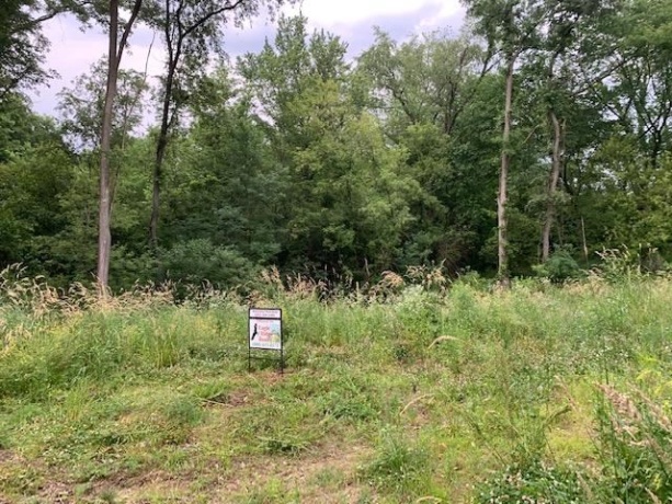 9491 Appollo, GALENA, Illinois 61036, ,Land,For Sale,Appollo,1111145