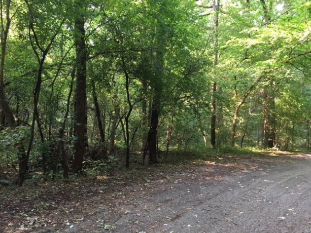 7795 Weldon Woods, ROCKFORD, Illinois 61102, ,Land,For Sale,Weldon Woods,201805267