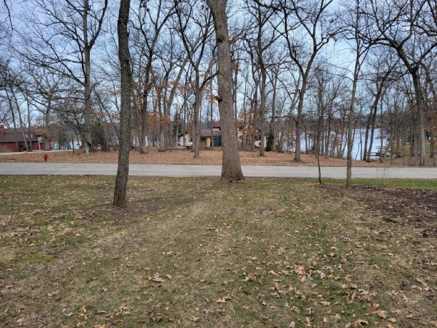 1999 BAINTREE, LAKE SUMMERSET, Illinois 61019, ,Land,For Sale,BAINTREE,202200102