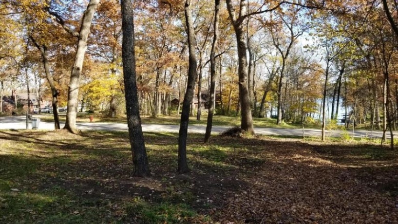 1999 BAINTREE, LAKE SUMMERSET, Illinois 61019, ,Land,For Sale,BAINTREE,202200102