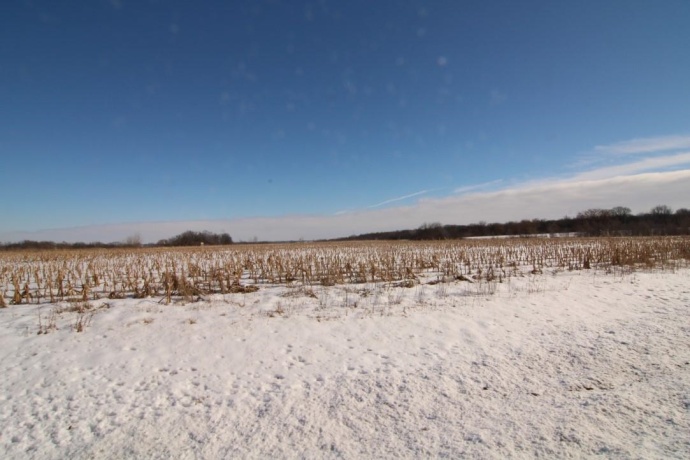 xxx Main, ROCKTON, Illinois 61072, ,Land,For Sale,Main,202200403