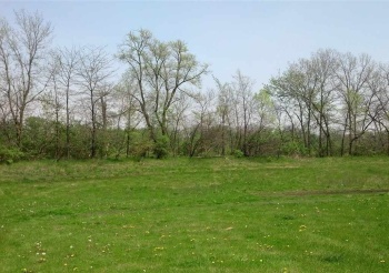 00 ASHELFORD, BYRON, Illinois 61010, ,Land,For Sale,ASHELFORD,202206690