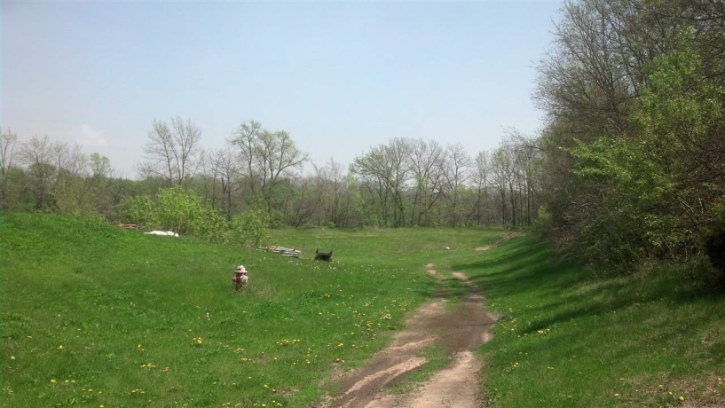 00 ASHELFORD, BYRON, Illinois 61010, ,Land,For Sale,ASHELFORD,202206690
