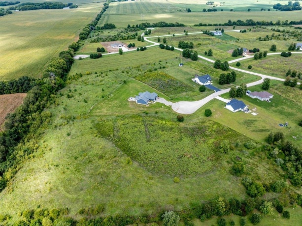 Longworth, STILLMAN VALLEY, Illinois 61084, ,Land,For Sale,Longworth,202207909