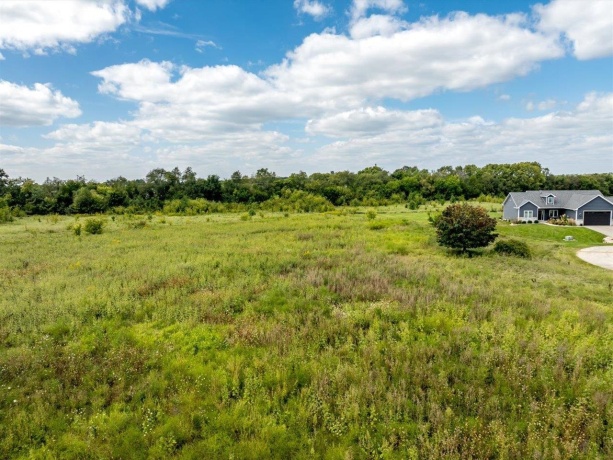 Longworth, STILLMAN VALLEY, Illinois 61084, ,Land,For Sale,Longworth,202207909