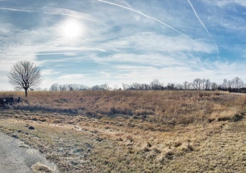 Longworth, STILLMAN VALLEY, Illinois 61084, ,Land,For Sale,Longworth,202207909