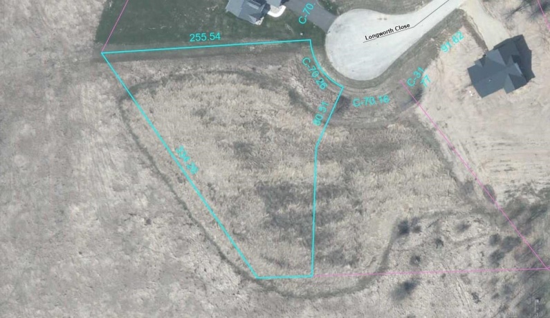 Longworth, STILLMAN VALLEY, Illinois 61084, ,Land,For Sale,Longworth,202207909