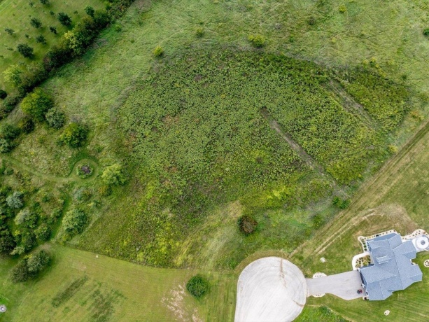 Longworth, STILLMAN VALLEY, Illinois 61084, ,Land,For Sale,Longworth,202207909