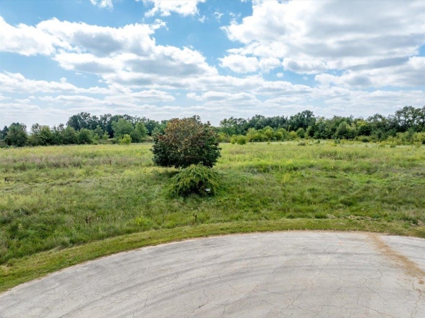 Longworth, STILLMAN VALLEY, Illinois 61084, ,Land,For Sale,Longworth,202207909