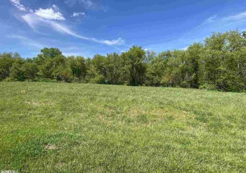 12-245 Birchbark, LAKE CARROLL, Illinois 61046, ,Land,For Sale,Birchbark,133464