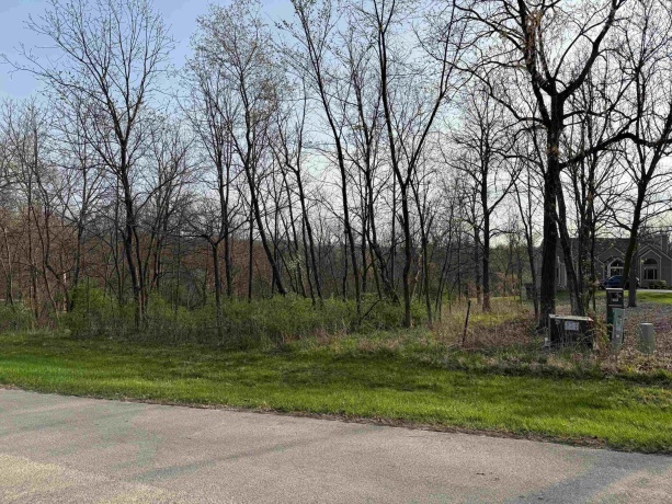 13 Hickory, GALENA, Illinois 61036, ,Land,For Sale,Hickory,202302133