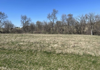 13-4 Spring Creek, LAKE CARROLL, Illinois 61046, ,Land,For Sale,Spring Creek,202301709