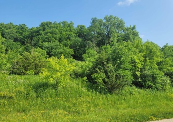 9 Sugarcreek, GALENA, Illinois 61036, ,Land,For Sale,Sugarcreek,202303388