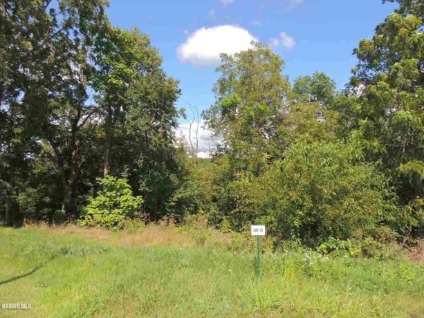 Lot 70 Ryan, GALENA, Illinois 61036, ,Land,For Sale,Ryan,131971