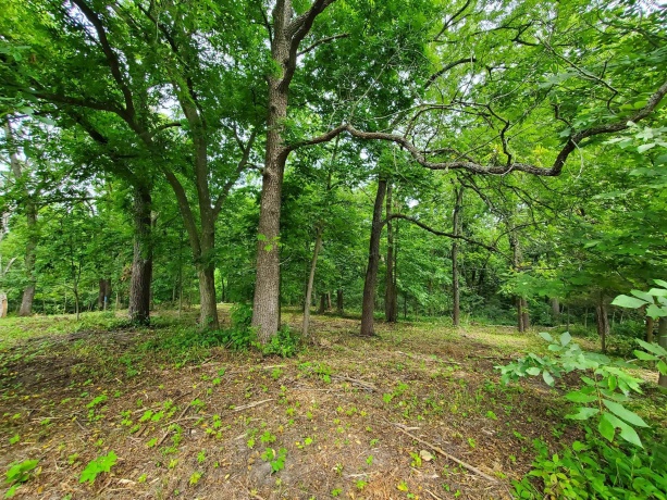 19 Timberline Drive, GALENA, Illinois 61036, ,Land,For Sale,Timberline Drive,202304449