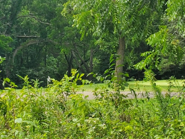 19 Timberline Drive, GALENA, Illinois 61036, ,Land,For Sale,Timberline Drive,202304449