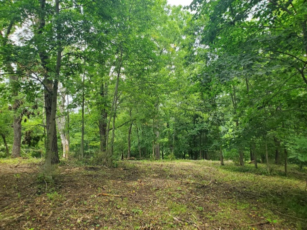 19 Timberline Drive, GALENA, Illinois 61036, ,Land,For Sale,Timberline Drive,202304449