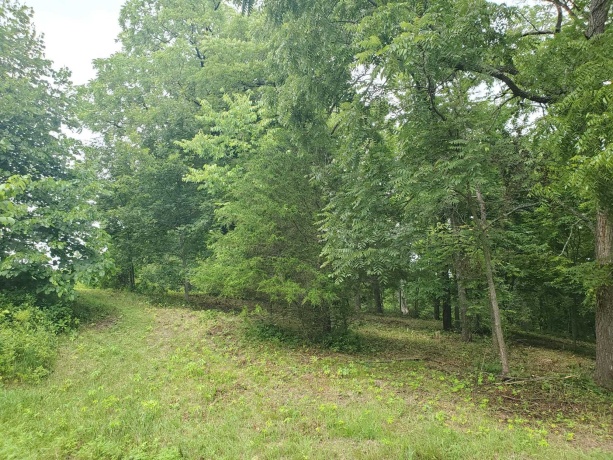 19 Timberline Drive, GALENA, Illinois 61036, ,Land,For Sale,Timberline Drive,202304449