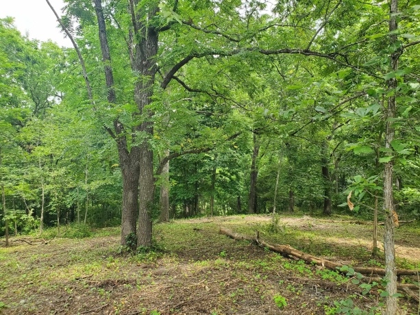 19 Timberline Drive, GALENA, Illinois 61036, ,Land,For Sale,Timberline Drive,202304449