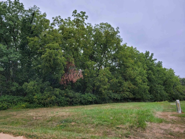 20-31 & 32 Fox Run, LAKE CARROLL, Illinois 61046, ,Land,For Sale,Fox Run,202305323