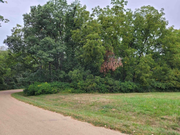 20-31 & 32 Fox Run, LAKE CARROLL, Illinois 61046, ,Land,For Sale,Fox Run,202305323