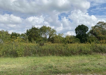 21 Tanager, GALENA, Illinois 61036, ,Land,For Sale,Tanager,202305620