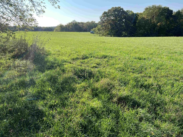 3521 Shady, LAKE CARROLL, Illinois 61046, ,Land,For Sale,Shady,202305728