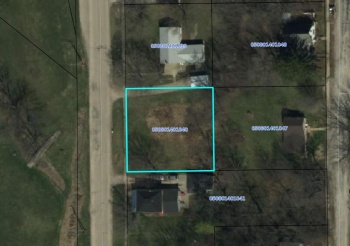 113 Mill, MOUNT CARROLL, Illinois 61053, ,Land,For Sale,Mill,202306059